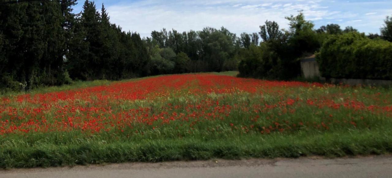 Le Mas Des Flaneraies Althen-des-Paluds Extérieur photo