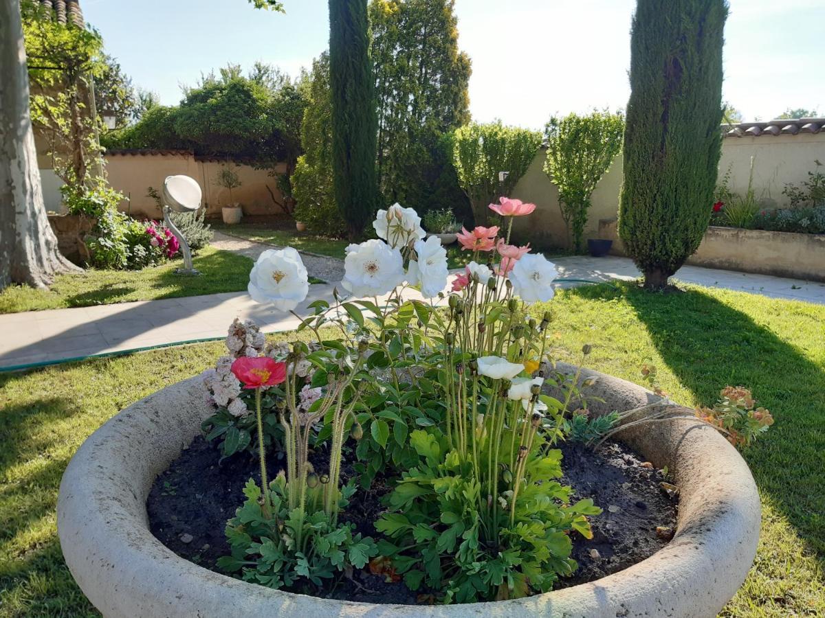 Le Mas Des Flaneraies Althen-des-Paluds Extérieur photo